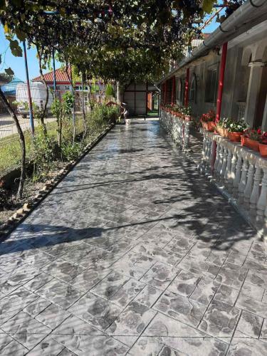 WhatsApp Image 2025-12-23 at 18.03.301